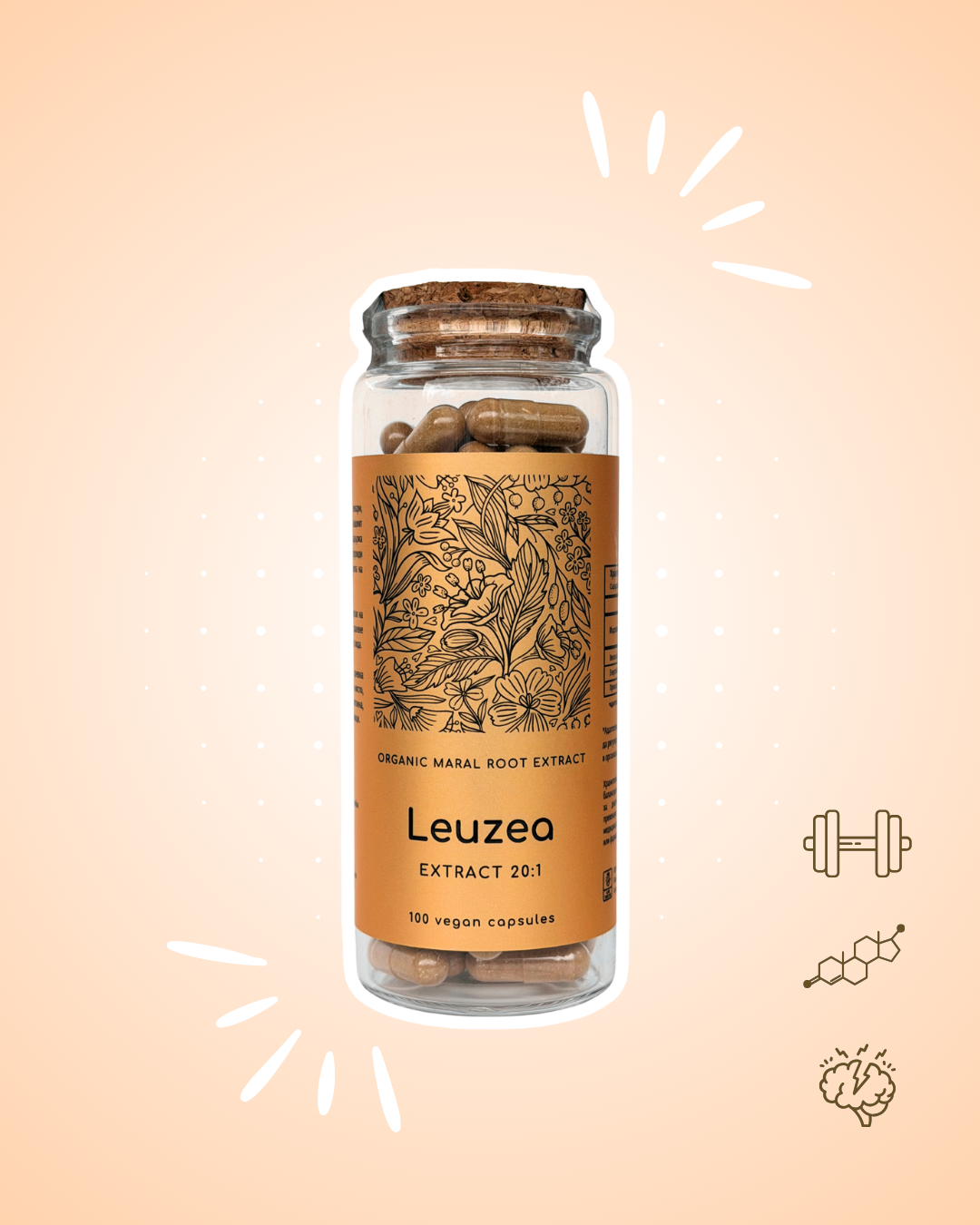 Leuzea extract 20:1